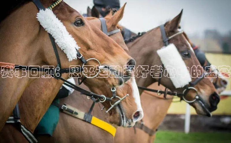 杏耀手机网页版登录