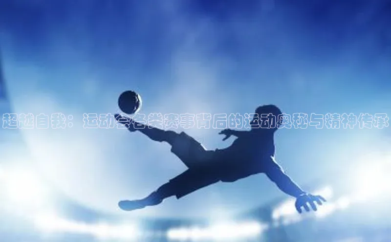 杏耀手机网页版登录