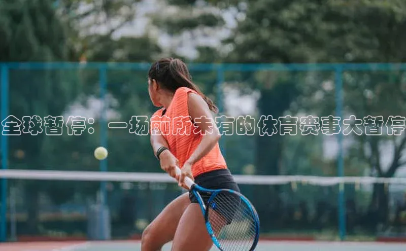 杏耀平台登录入口